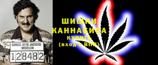 не бодяженный Великий Новгород