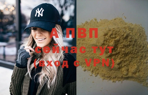 стаф Орск