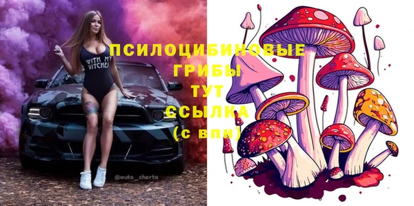 не бодяженный Великий Новгород
