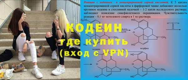 не бодяженный Великий Новгород