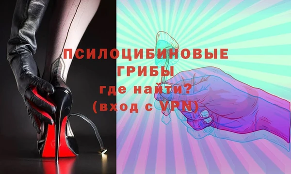 не бодяженный Великий Новгород