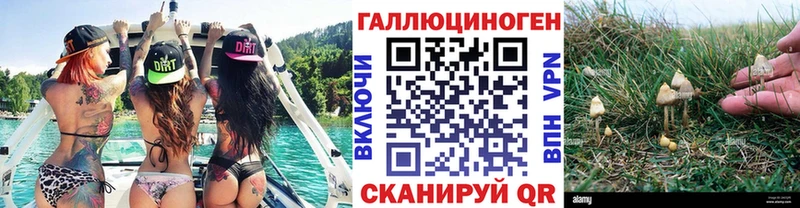 Купить где  Полярные Зори  Псилоцибиновые грибы мухоморы 